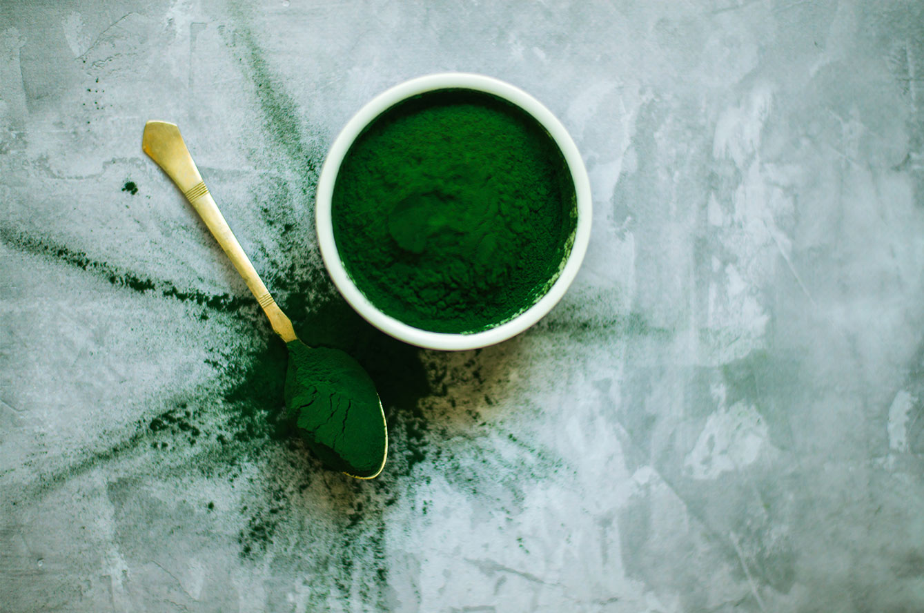 Bienfaits de la spiruline : immersion dans une ferme